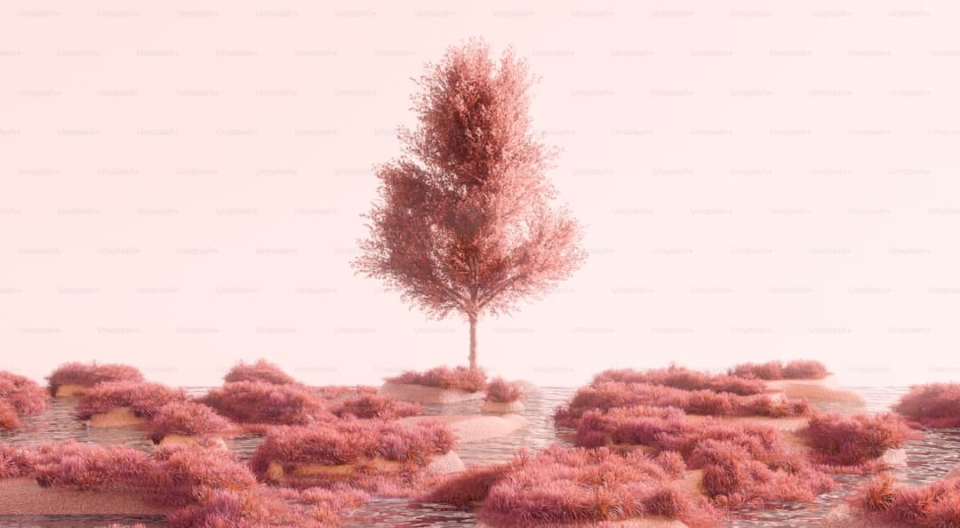 http://n.sinaimg.cn/news/transform/w600h400/20180312/VXgE-fyscsmu5273812.jpg?zdy
